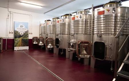 Sala de depósitos de la Bodega Martínez Parrondo – Cangas del Narcea