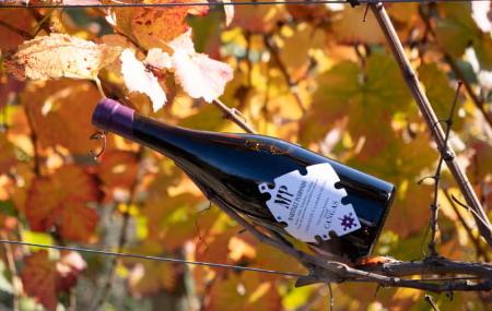 Botella de vino de la Bodega Martínez Parrondo – Cangas del Narcea