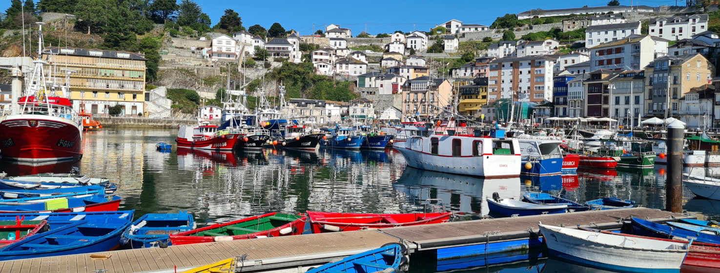 Image of Luarca. In front, the port with its red, green, blue and white boats, a splendid colour above the sea. In the background the village, forming a semicircle and climbing up the hillside. Most of the houses are white, some are blue, mustard or brown, with slate roofs. Above the cemetery looking out to sea and an area of trees touching the blue sky.