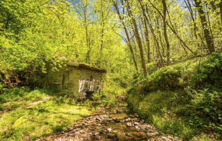 Molino de agua. Sobrescobio