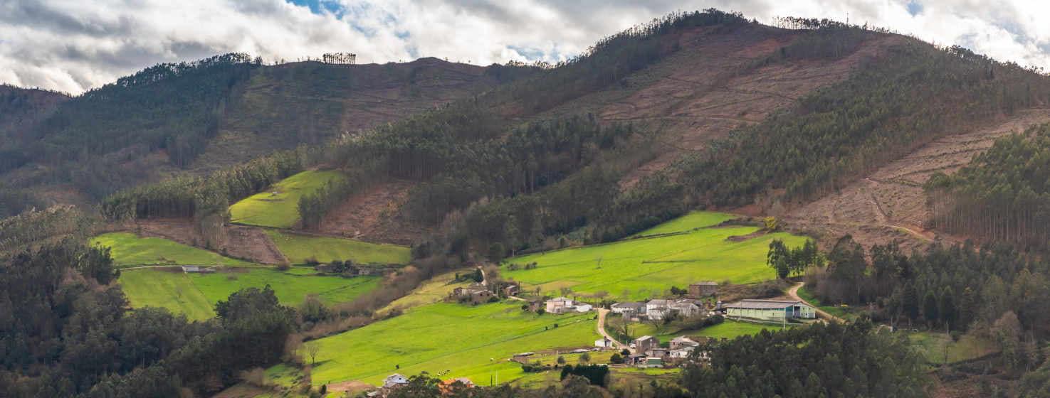 Vista de Salcido, una pequeña aldea con casas blancas y ubicada en la verde ladera de una montaña. El monte sube hacia la derecha con arboleda en tonos verde oscuro y marrón que contrasta con el verde claro de la pradera. En el cielo abundan las nubes blancas.
