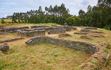 Vista general del Castro de Mohías con restos de muros bajos de piedra formando recintos sobre una plataforma de hierba segada, rodeados de árboles altos y vegetación de fondo bajo un cielo parcialmente nublado.