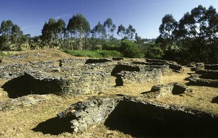 estos del Castro de Mohías con muros bajos de piedra que delimitan varios recintos sobre un terreno de hierba seca, con una hilera de árboles altos al fondo y cielo despejado.
