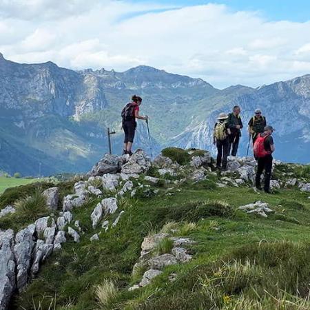 Image Organised outings