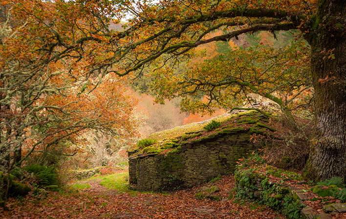 Ir a Imagen Ruta de A Seimeira