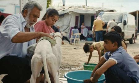 MUSOC. Cine en Avilés