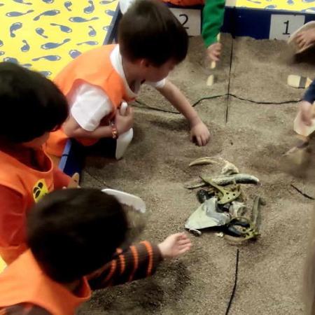 ¡Encuentra los restos del dinosaurio perdido! Taller infantil en Colunga