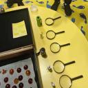 Imagen Programación de mayo en el Museo del Jurásico de Asturias en Colunga