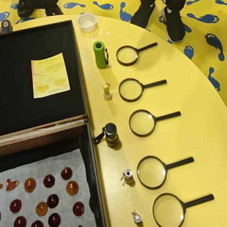 Programación de mayo en el Museo del Jurásico de Asturias en Colunga