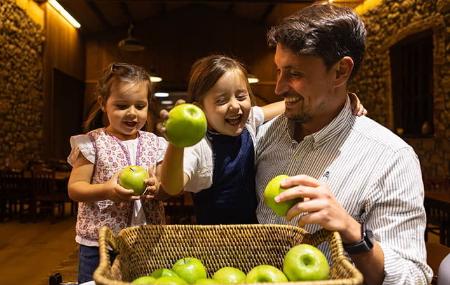 Fran Sidro Sidro Mill