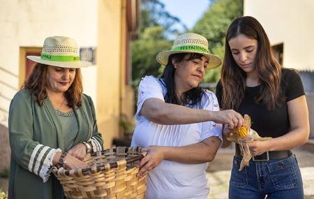 Disimballaggio del mais