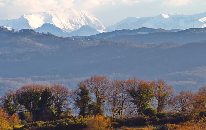 Aller à Image Feleches