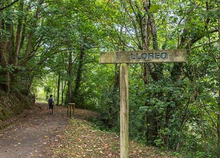 Sentier vert de Lloreo