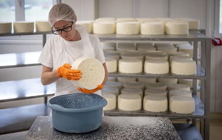 Fábrica de Queijo Vega de Tordín