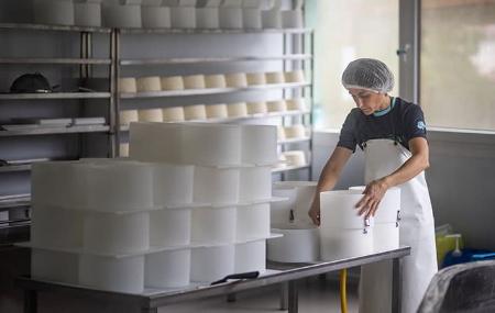 Maín Cheese Factory