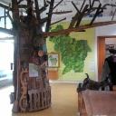 Imagem Red Natural de Asturias. Actividades especiales en Asturias