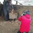 Imagen El Museo que ven nuestros visitantes. Exposición en Grandas de Salime