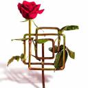 Imagen El gitano por amor. Zarzuela en Oviedo