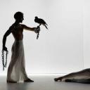 Imagen Prometeo. Festival de Danza en Oviedo