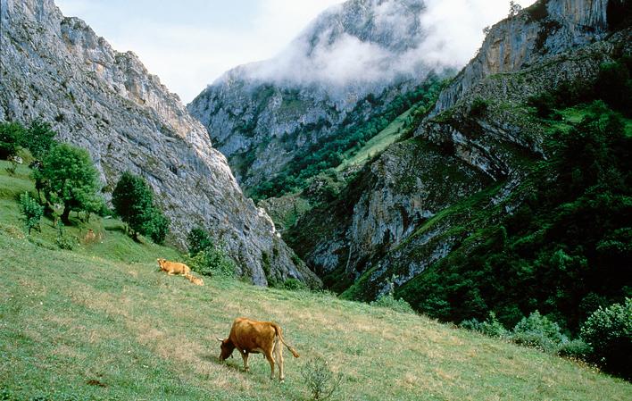 Aller à Image Casa Severa