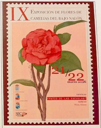 IX Exposición de flores de Camelias del Bajo Nalón en Somao. Pravia