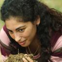 Imagen Mayo de cine en el Niemeyer. Avilés