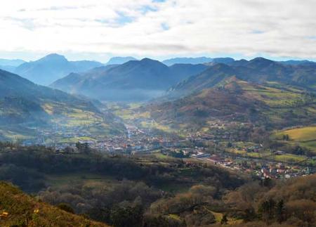 Imagen Pico el Arbolín
