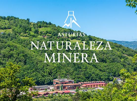 Fotografie des Sotón-Schachtes und seiner Umgebung mit dem Logo von Asturien, im Vordergrund die bergbauliche Natur