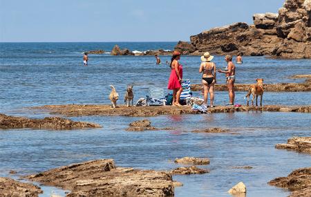 Plage de Rinconin / Cervigón