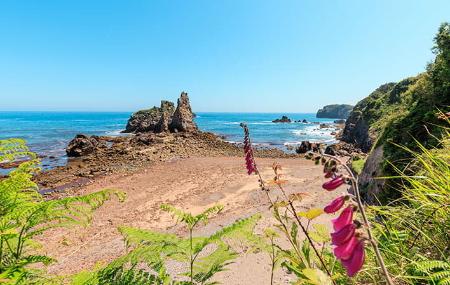Playa de Pendueles/Castiello