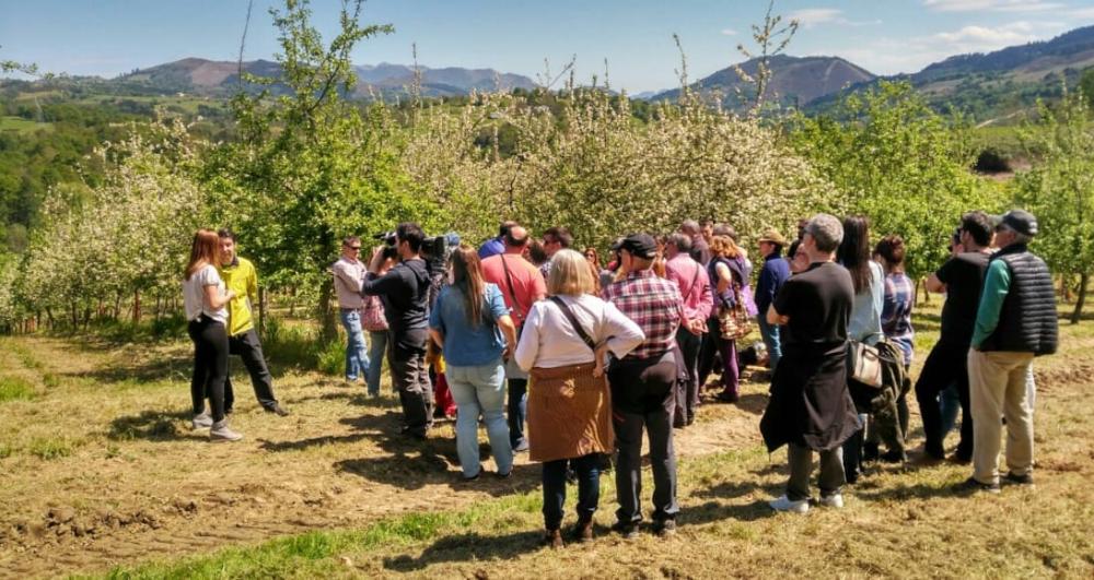 Imagen Qué hacer el puente de mayo en Asturias: fiestas, visitas y talleres