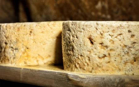 Queso Cabrales