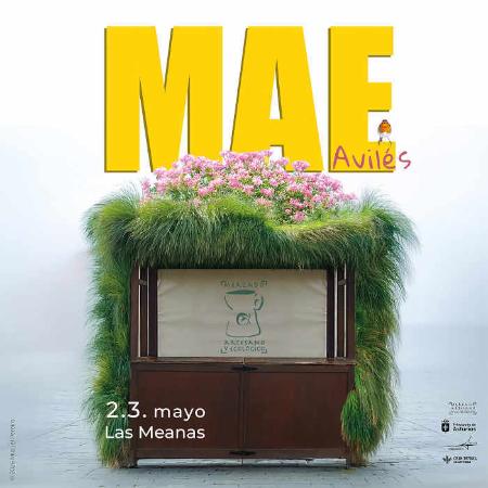 Mercado Artesano y Ecológico de Avilés