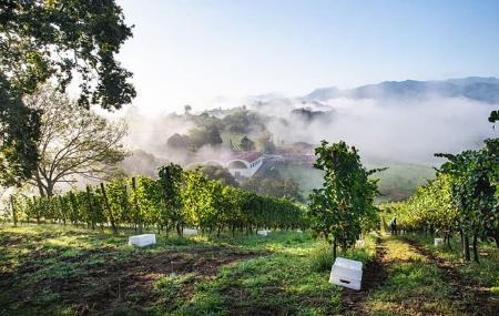 Palacio de Nevares Winery