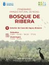 rena-bosque-ribera