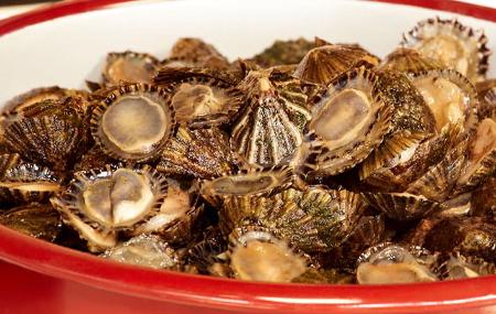 Jornadas Gastronómicas de la Llámpara