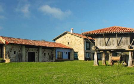 Image Les Piedriquines