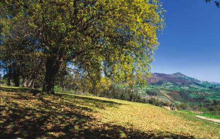 Immagine Albergue de Peregrinos de El Escamplero