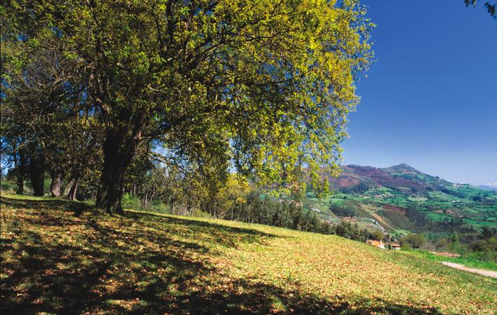 Gehe zu Bild Albergue de Peregrinos de El Escamplero