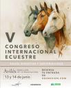 Image V Congreso Internacional Ecuestre en Avilés