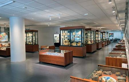 Imagen Musée de géologie de l'université d'Oviedo