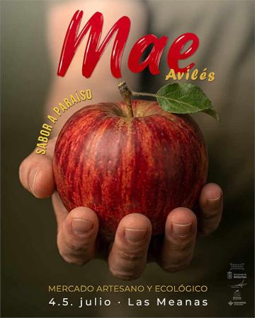 Mercado Artesano y Ecológico de Avilés
