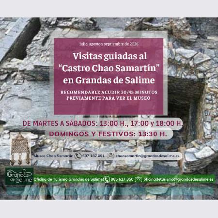 Castro Chao Samartin. Visitas guiadas