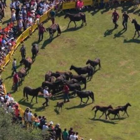 La Fiesta del Asturcón 2026
