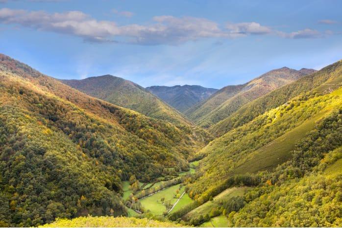 Imagen del bosque de Muniellos