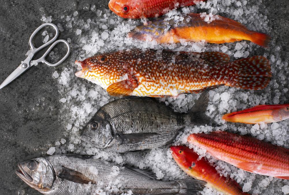 Pescados y Mariscos