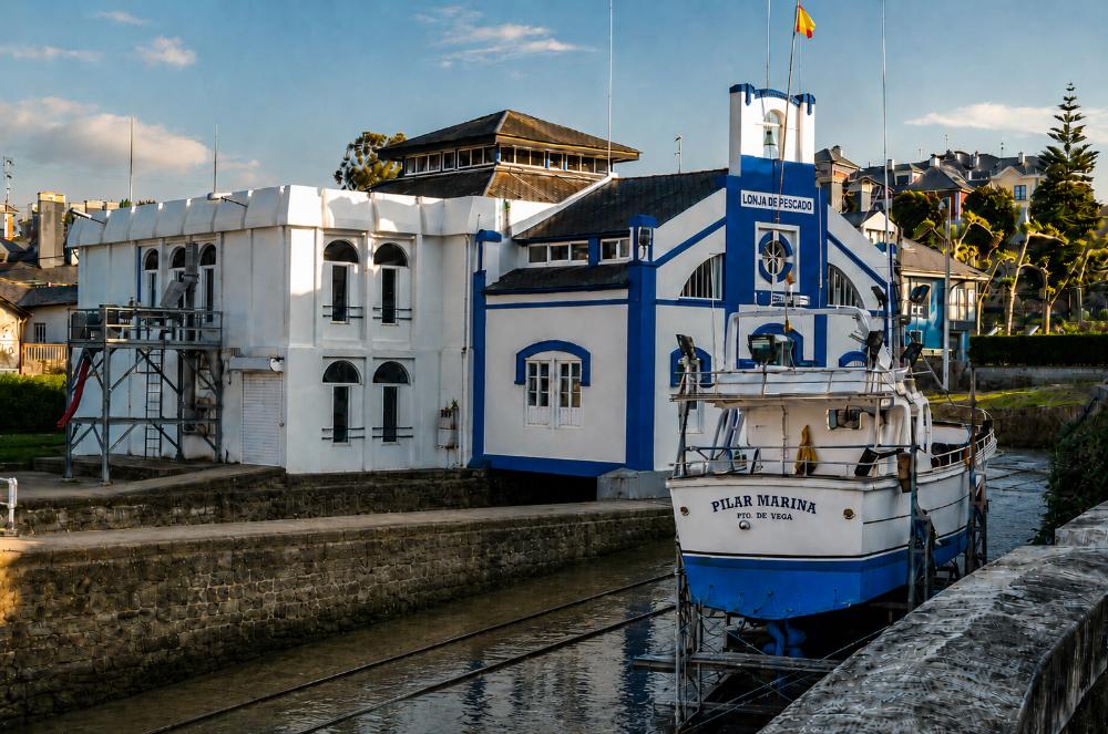 Pescados y Mariscos