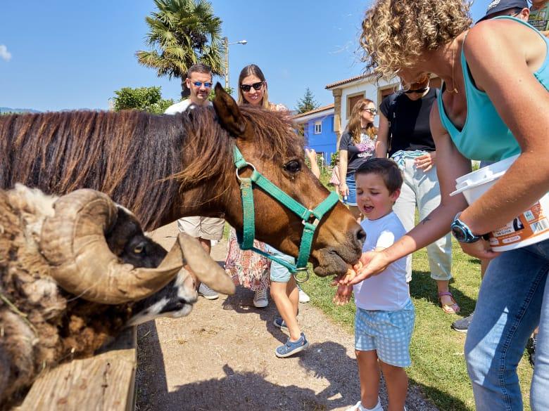 A picture of the activities at Los Caserinos Farm (Villaviciosa)
