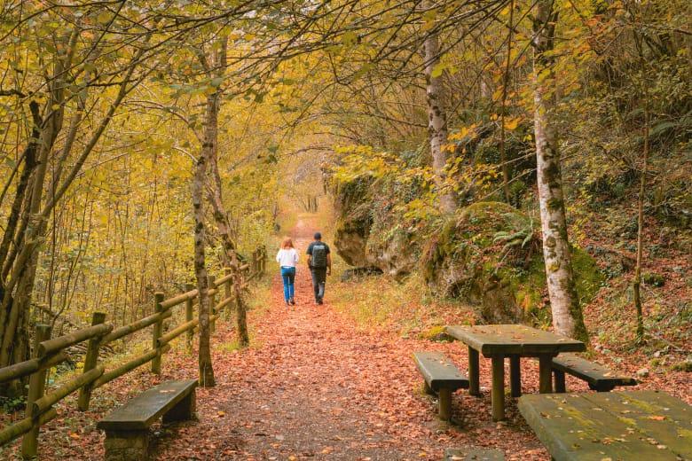 A picture of a walking route through the Redes Natural Park