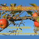 Immagine Ente tonaes y cancios. Concierto en Bimenes